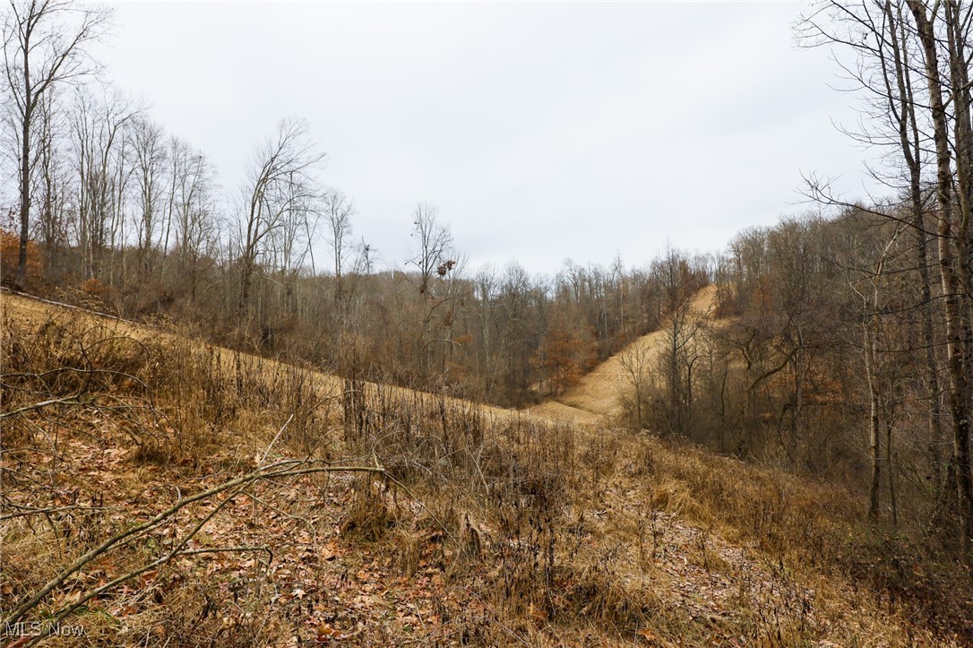 6500 Kings Ridge Road Property Photo 27