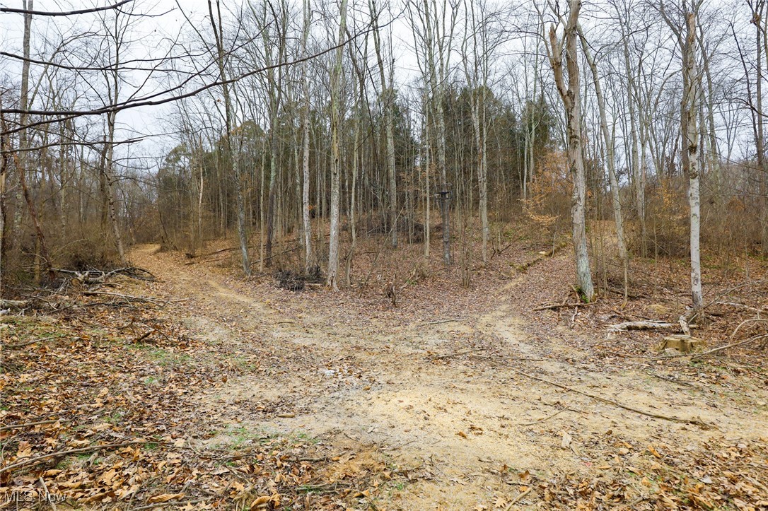 6500 Kings Ridge Road Property Photo 30