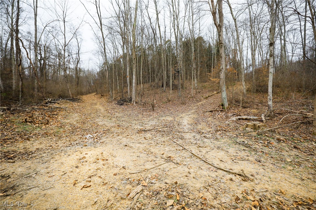 6500 Kings Ridge Road Property Photo 31