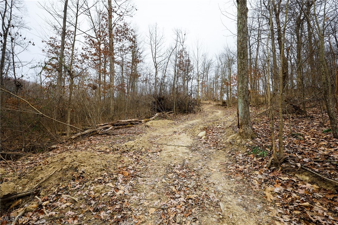 6500 Kings Ridge Road Property Photo 34