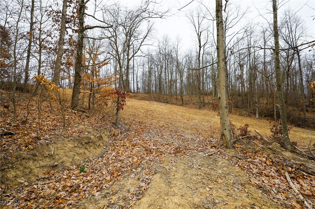 6500 Kings Ridge Road Property Photo 36