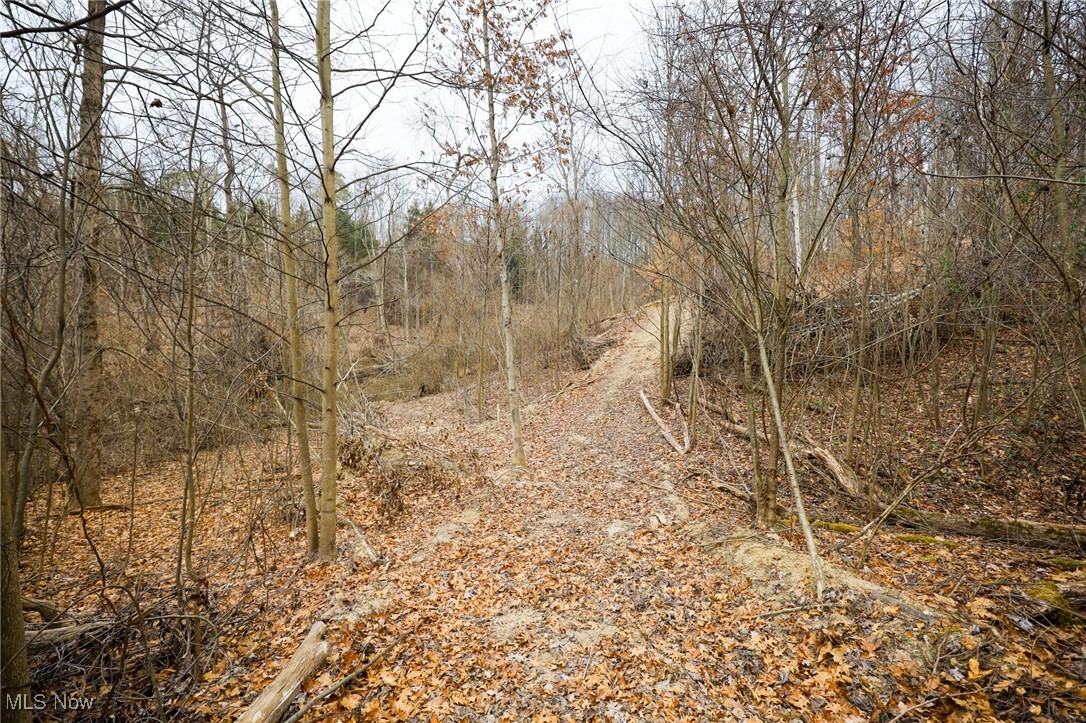 6500 Kings Ridge Road Property Photo 39