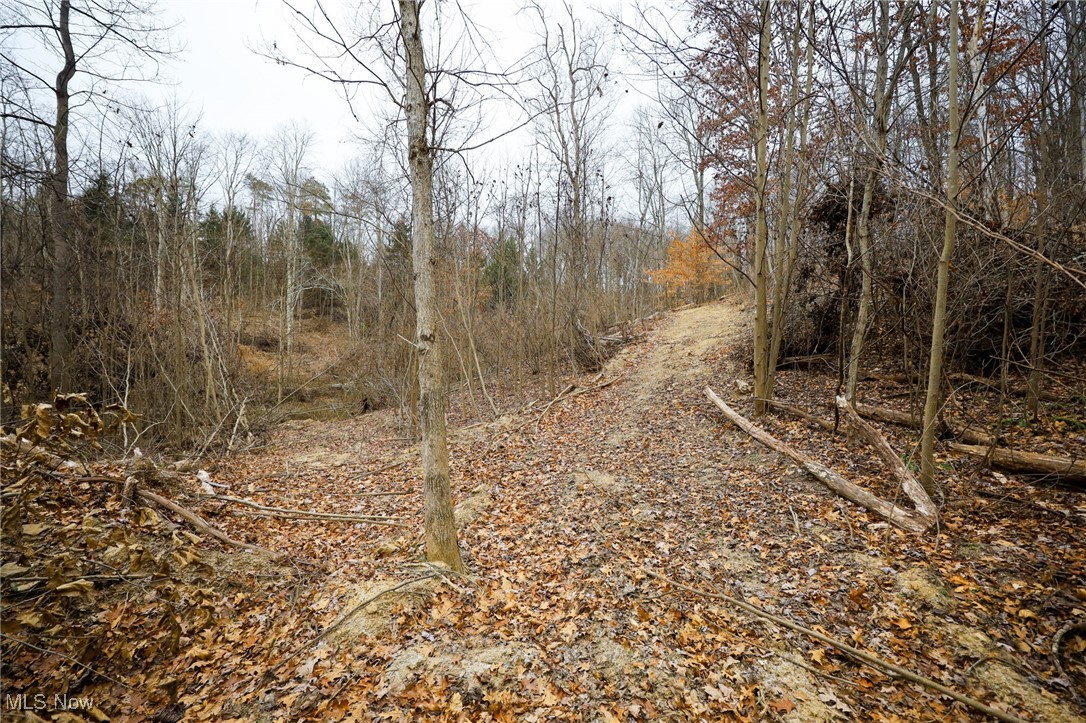 6500 Kings Ridge Road Property Photo 40