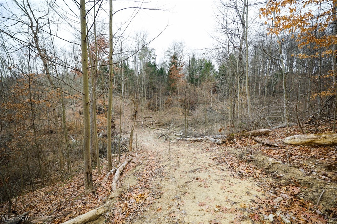 6500 Kings Ridge Road Property Photo 41
