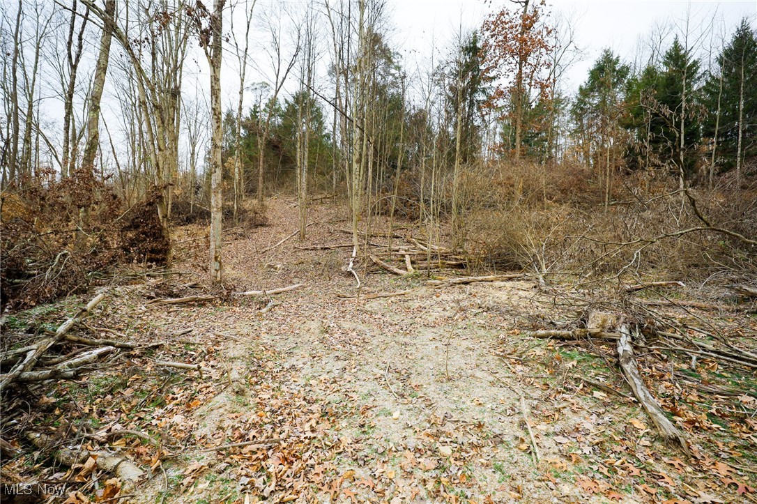 6500 Kings Ridge Road Property Photo 42