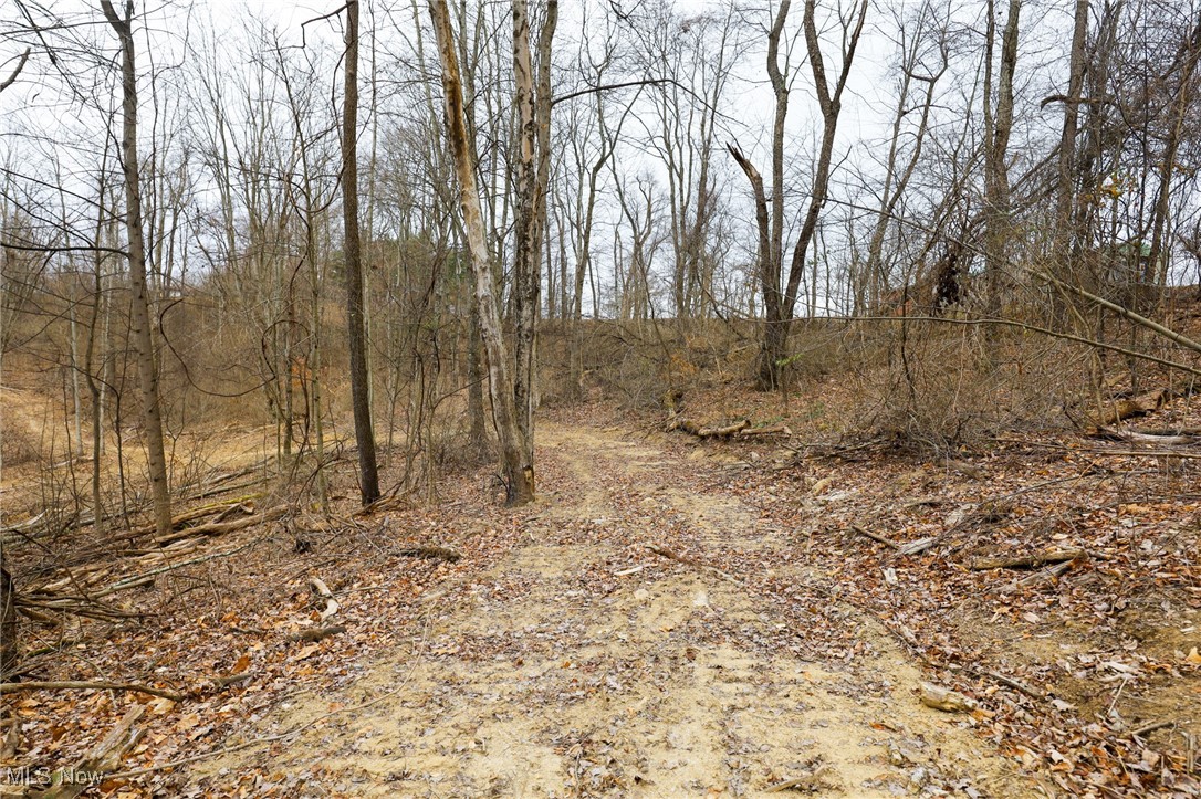6500 Kings Ridge Road Property Photo 43