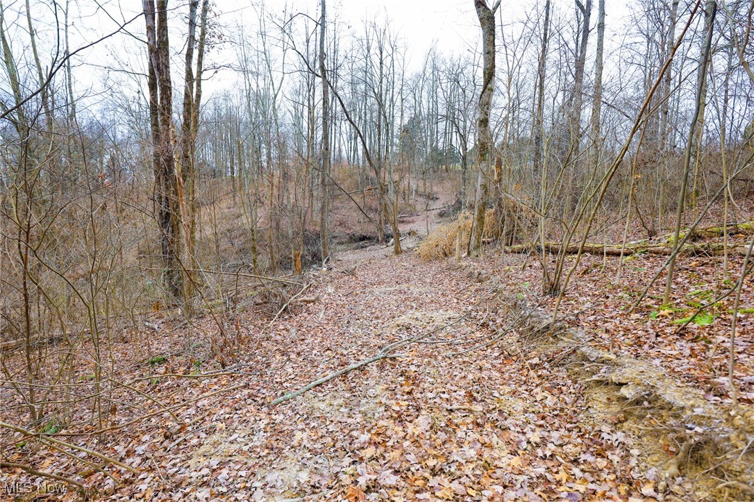 6500 Kings Ridge Road Property Photo 45