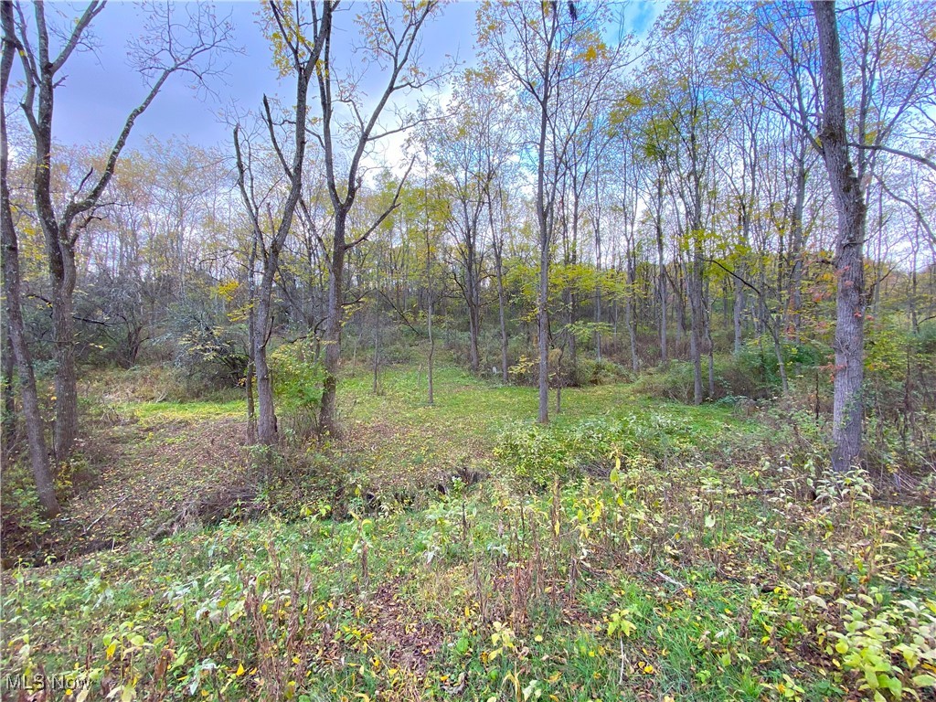 Toker Road Property Photo 3