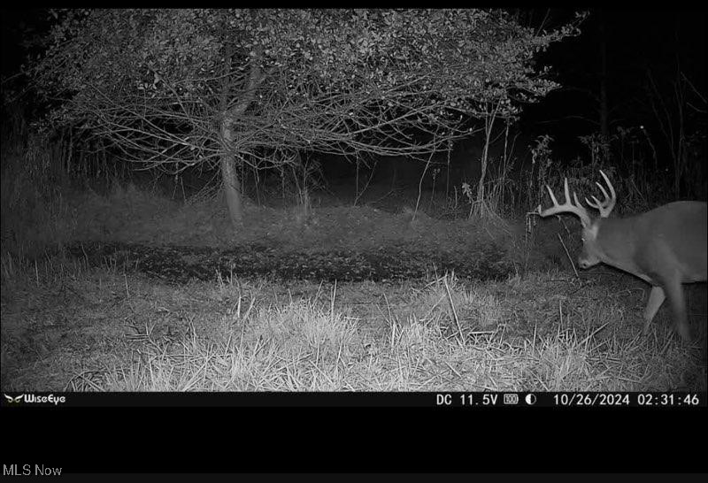 Toker Road Property Photo 4