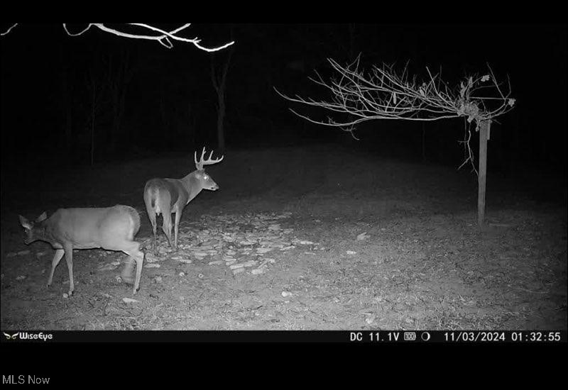 Toker Road Property Photo 5