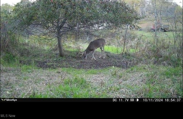 Toker Road Property Photo 6