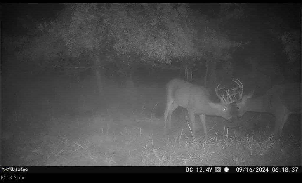Toker Road Property Photo 9
