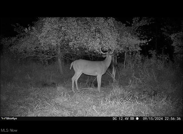 Toker Road Property Photo 10