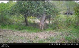 Toker Road Property Photo 11