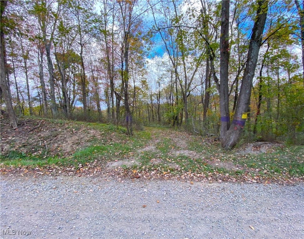 Toker Road Property Photo 13