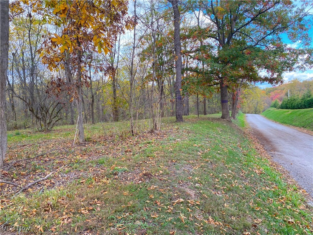 Toker Road Property Photo 15