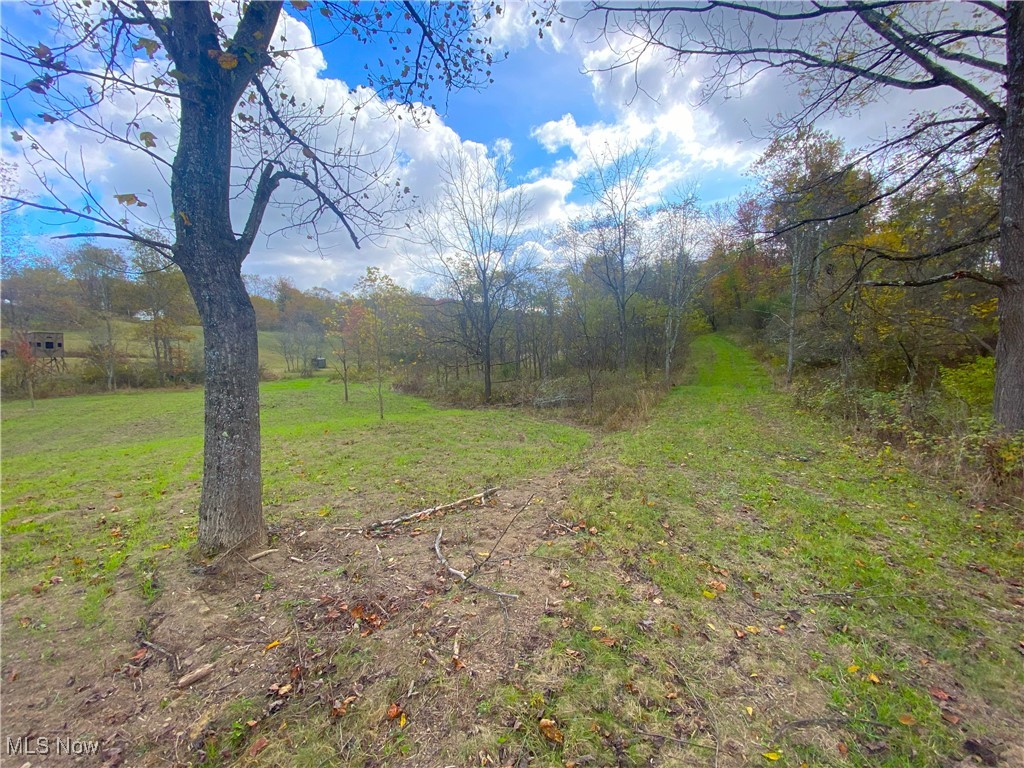 Toker Road Property Photo 17