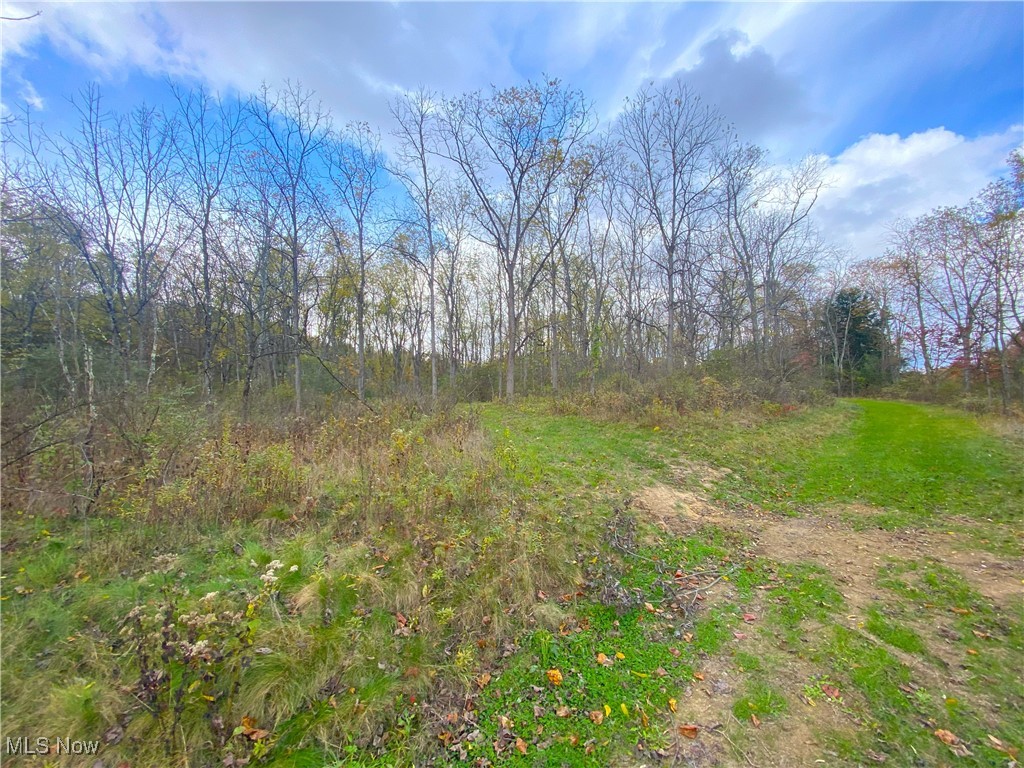 Toker Road Property Photo 18