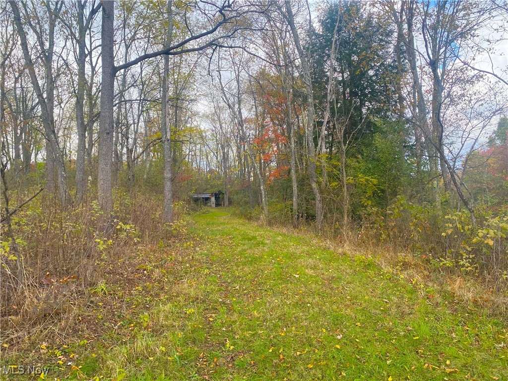 Toker Road Property Photo 19