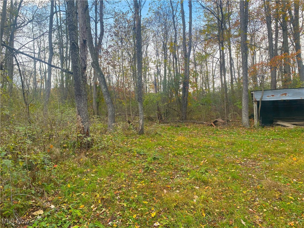 Toker Road Property Photo 20