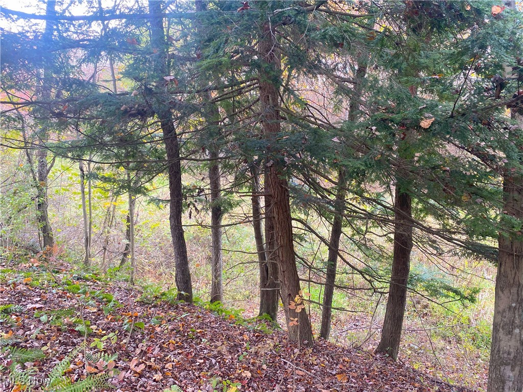 Toker Road Property Photo 21