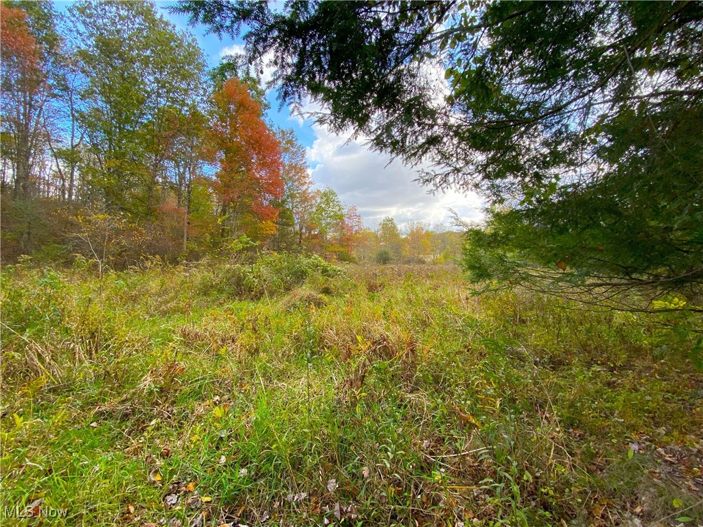 Toker Road Property Photo 22