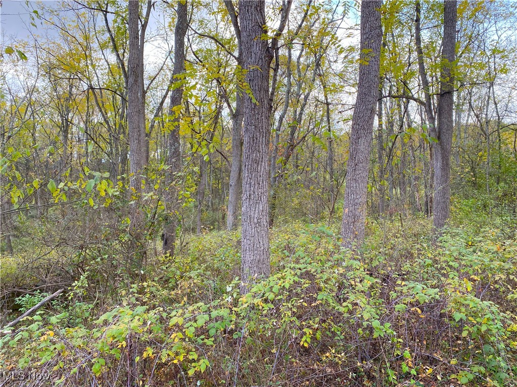 Toker Road Property Photo 23