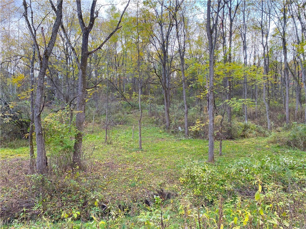 Toker Road Property Photo 24