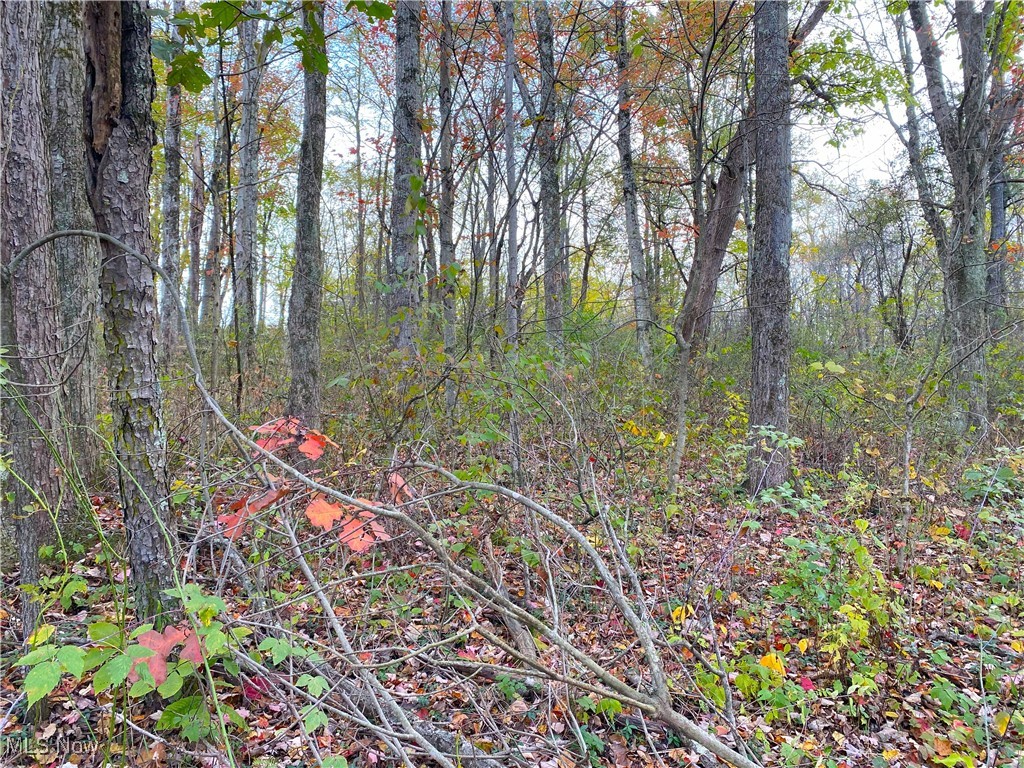 Toker Road Property Photo 25