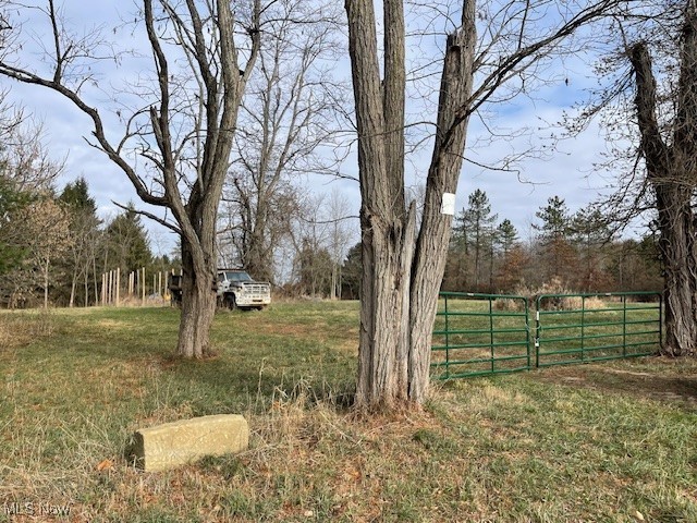 Clay Pike Property Photo 4
