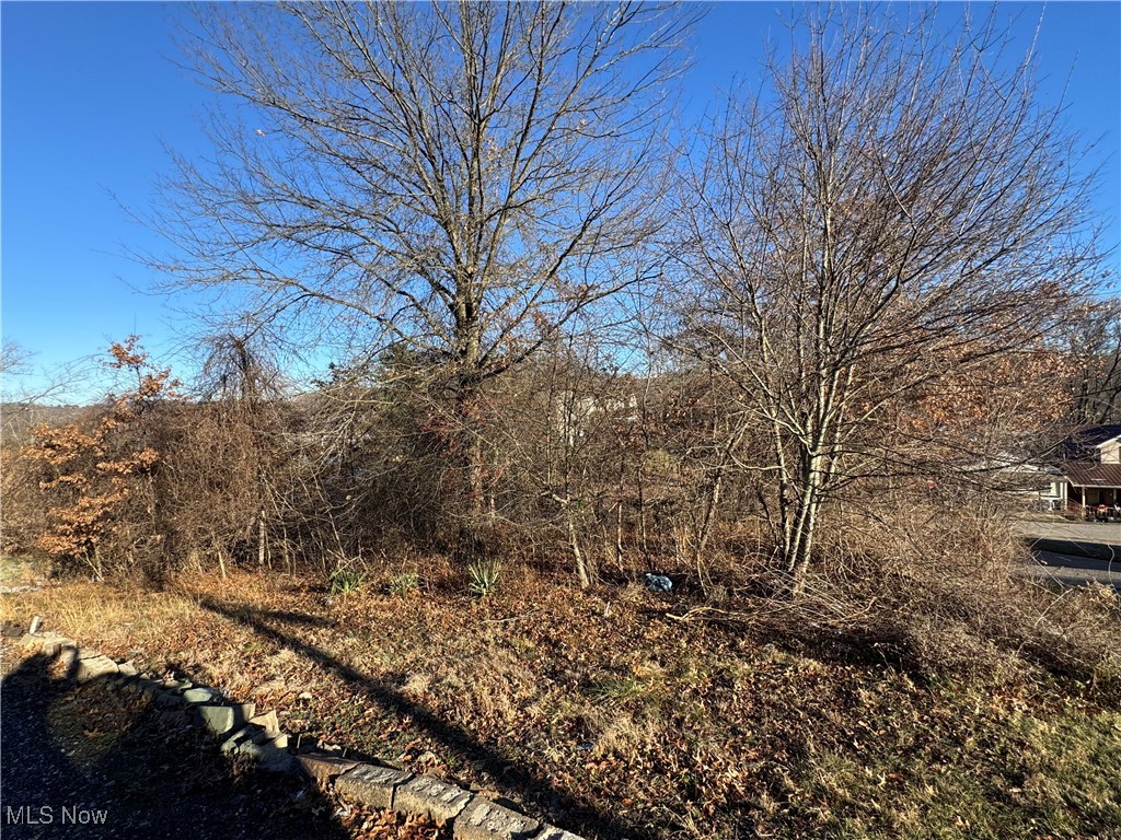 600 Belmont Street Property Photo 5
