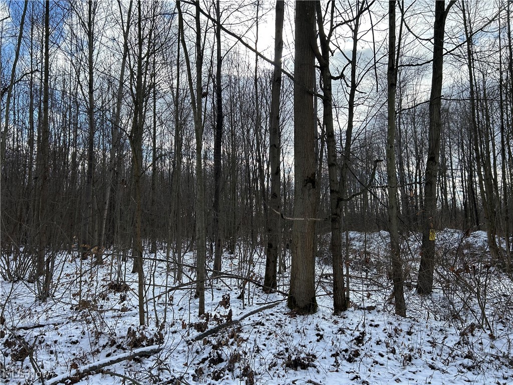 Vl Gibbs Road Property Photo 11