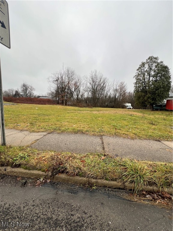 2419/2423 Mahoning Avenue Property Photo 1