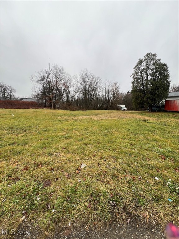 2419/2423 Mahoning Avenue Property Photo 3