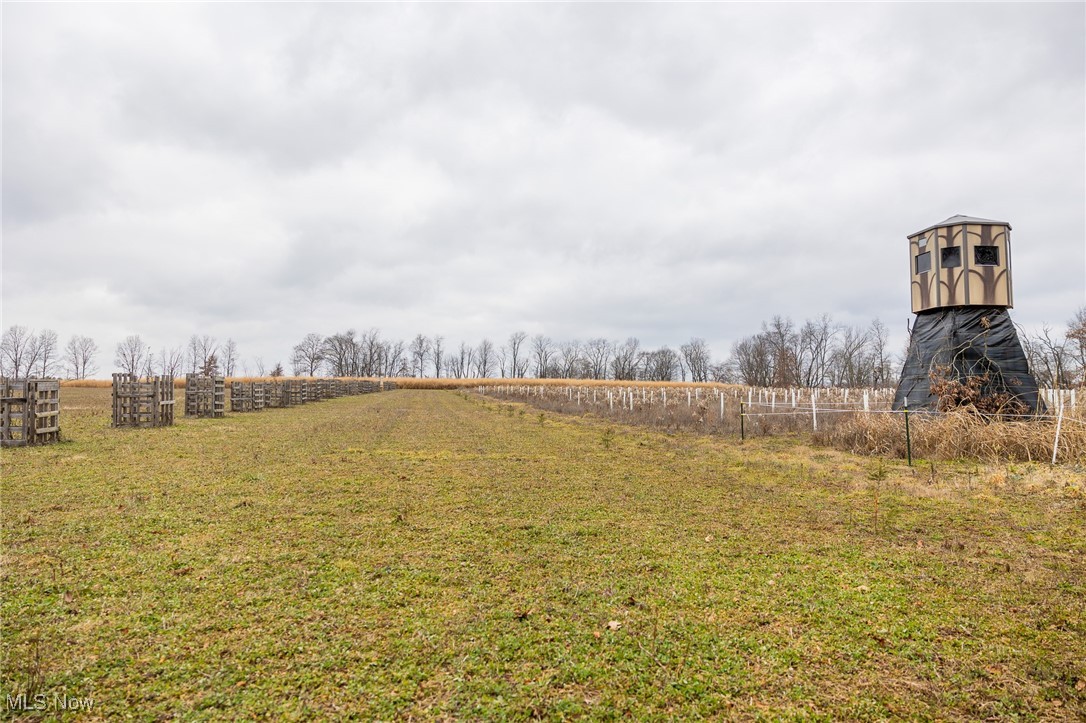 3115 Jasmine Road Nw Property Photo 23
