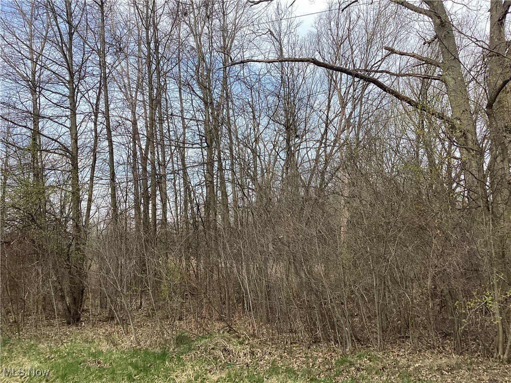 Fortney Road Property Photo 10