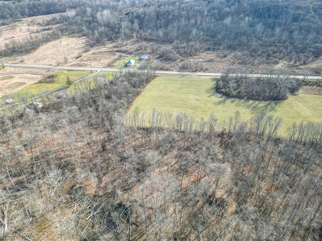 Tract 2 State Route 155 Se Property Photo 5