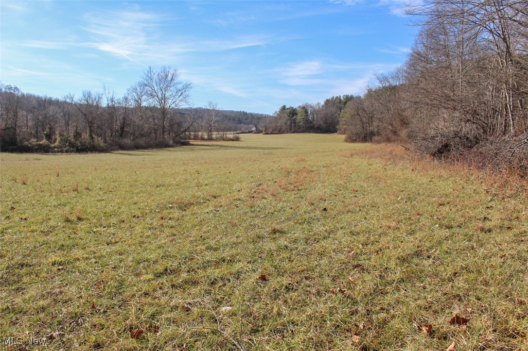 Tract 2 State Route 155 Se Property Photo 7