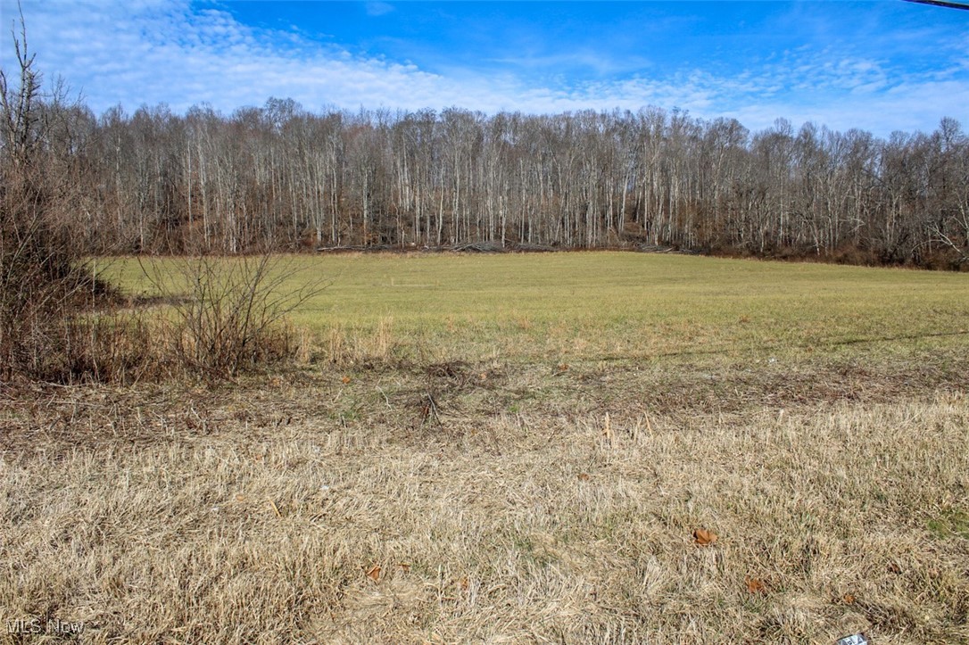 Tract 2 State Route 155 Se Property Photo 9