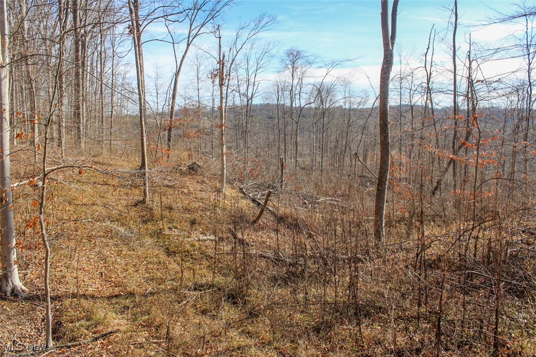 Tract 2 State Route 155 Se Property Photo 11