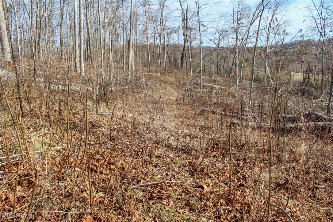 Tract 2 State Route 155 Se Property Photo 12