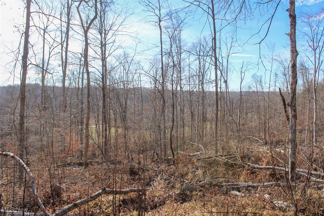 Tract 2 State Route 155 Se Property Photo 13