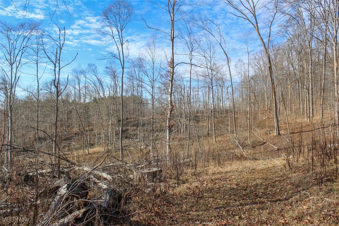 Tract 2 State Route 155 Se Property Photo 14