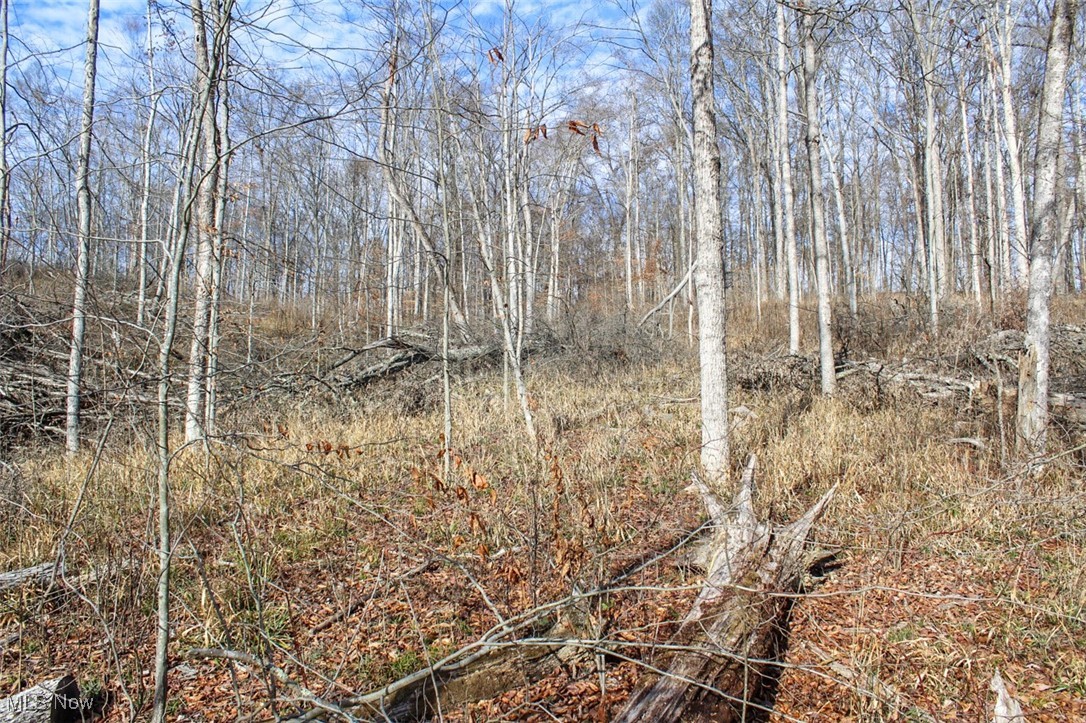 Tract 2 State Route 155 Se Property Photo 15