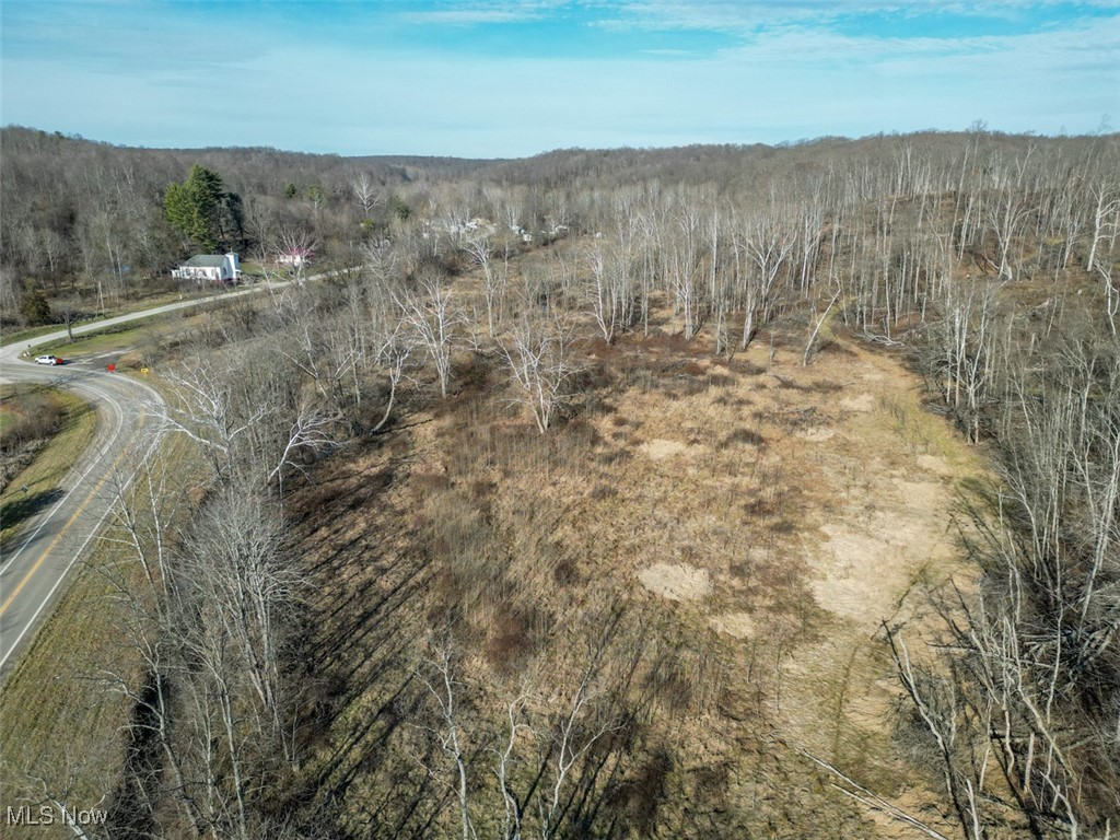 Tract 4 State Route 155 Se Property Photo 4