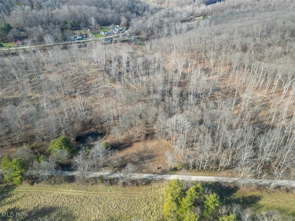 Tract 4 State Route 155 Se Property Photo 7