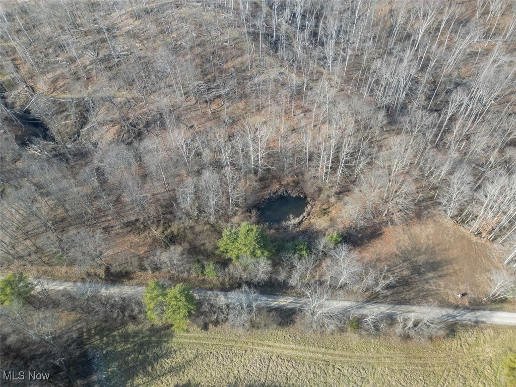 Tract 4 State Route 155 Se Property Photo 8