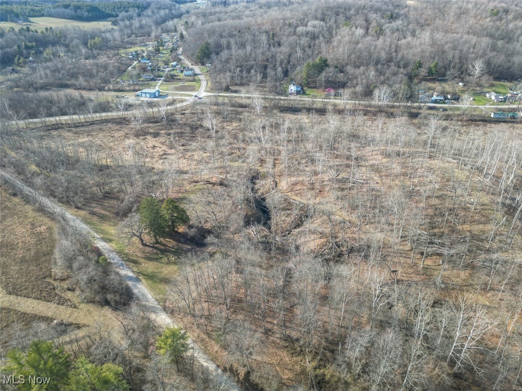 Tract 4 State Route 155 Se Property Photo 9