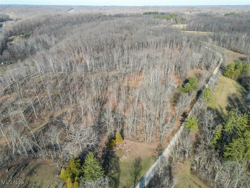Tract 4 State Route 155 Se Property Photo 10