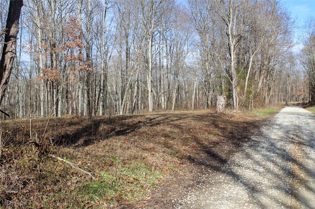 Tract 4 State Route 155 Se Property Photo 12
